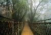 Best of Coorg - Bekal - Wayanad Hanging Bridge at Vythiri Resort